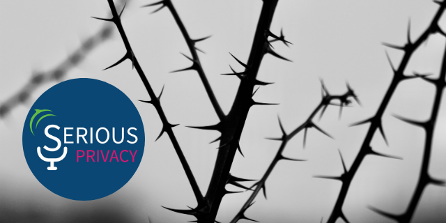 Serious Privacy Podcast - Wicked Privacy: A Frank Discussion on Thorny Topics (with Michelle Dennedy, Ruby Zefo, and Hilary Wandall) 6 Episode 35 1