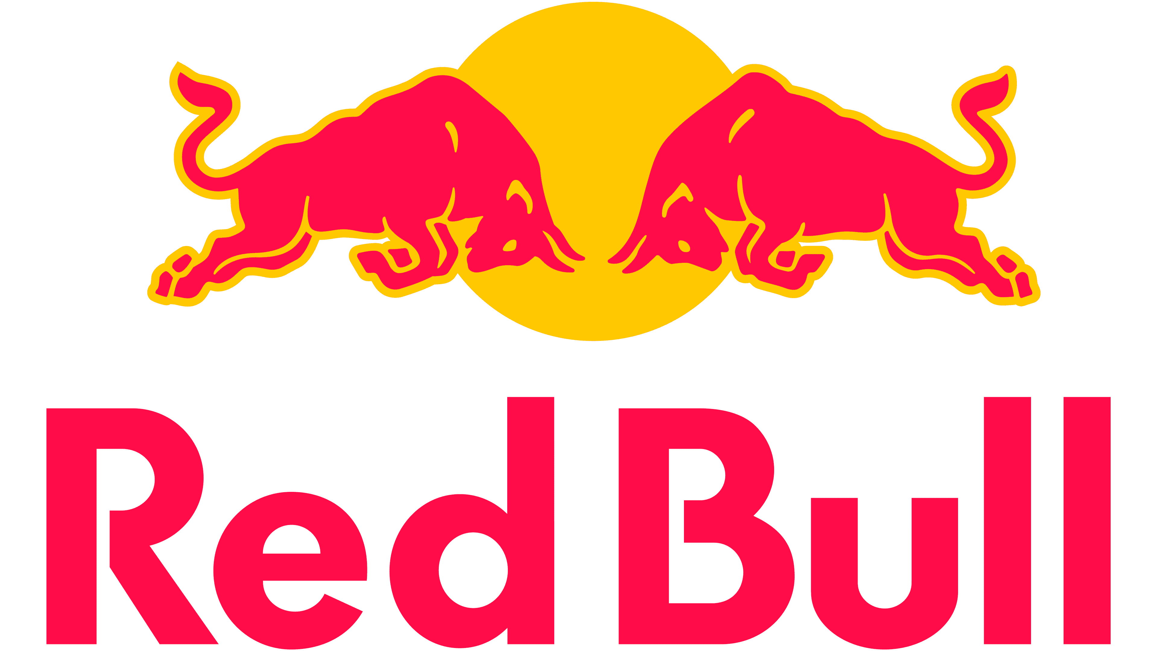 Red Bull Campus Clutch South LAN organizer
