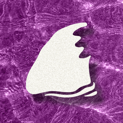 Shark Showdown 1 Grand Finals organizer