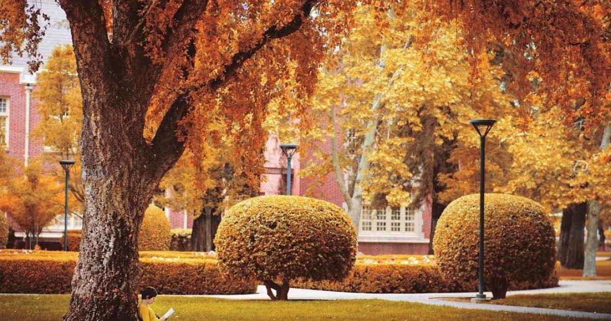 5 Ways to Embrace Fall in Stockton, California Visit Stockton