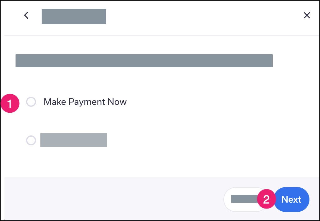 Option to select an online payment