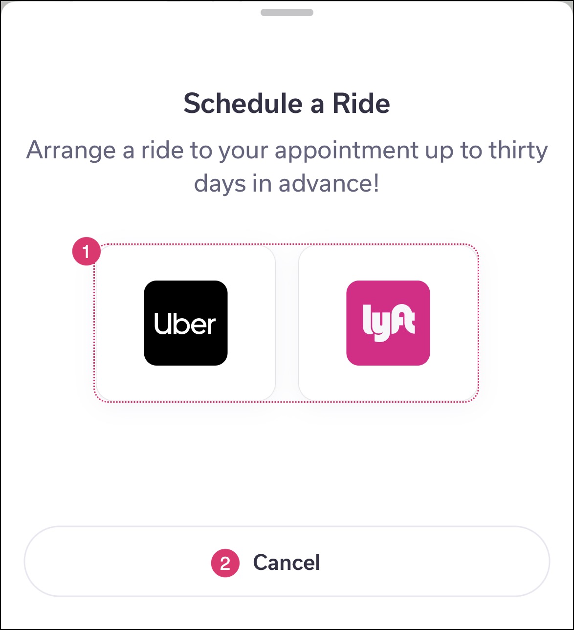 Icons of Rideshare services