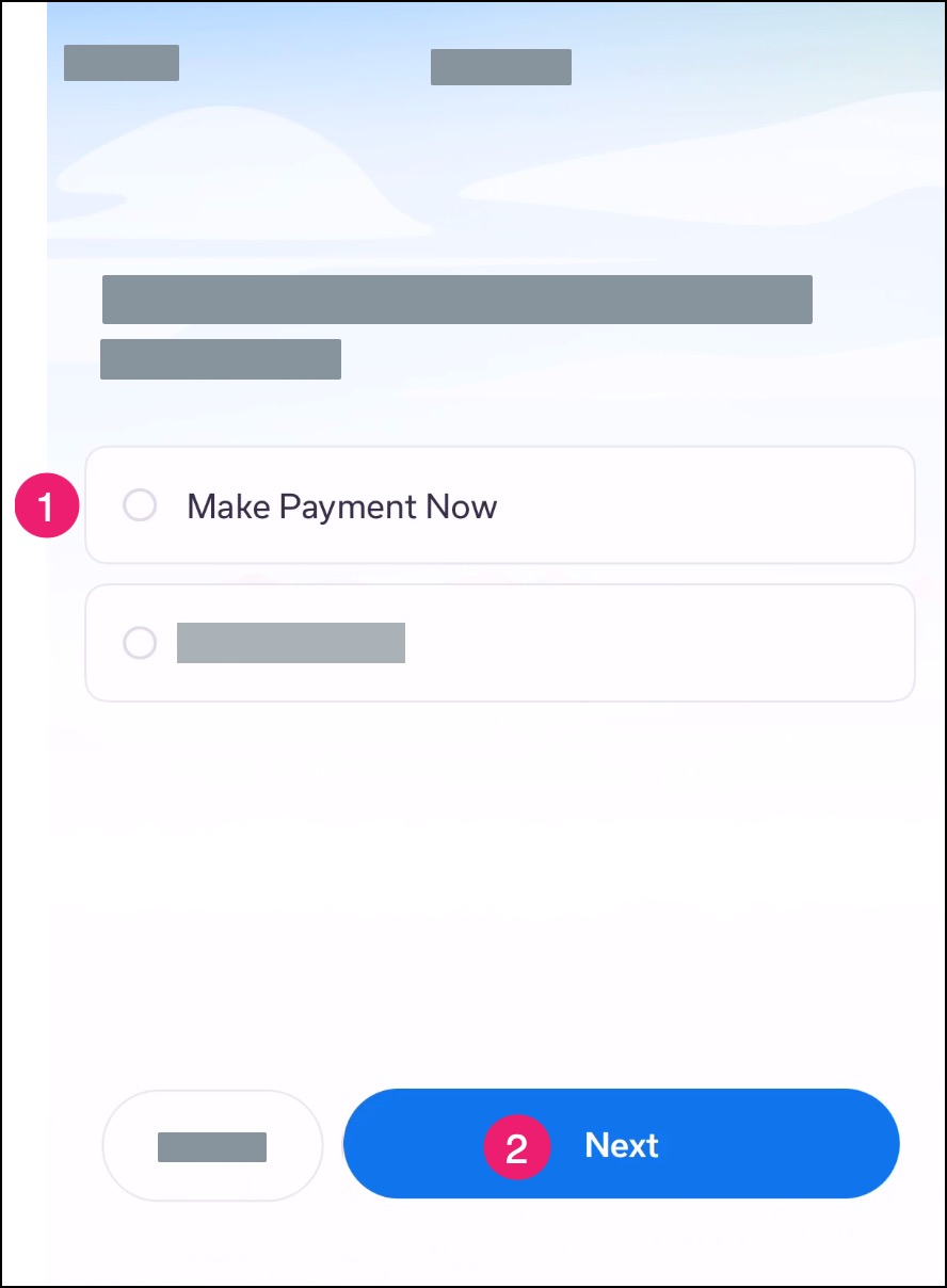 Mobile app Option to select an online payment