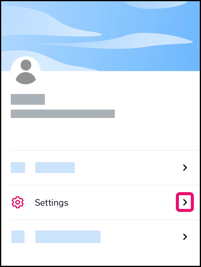 Settings Link in User Profile Menu