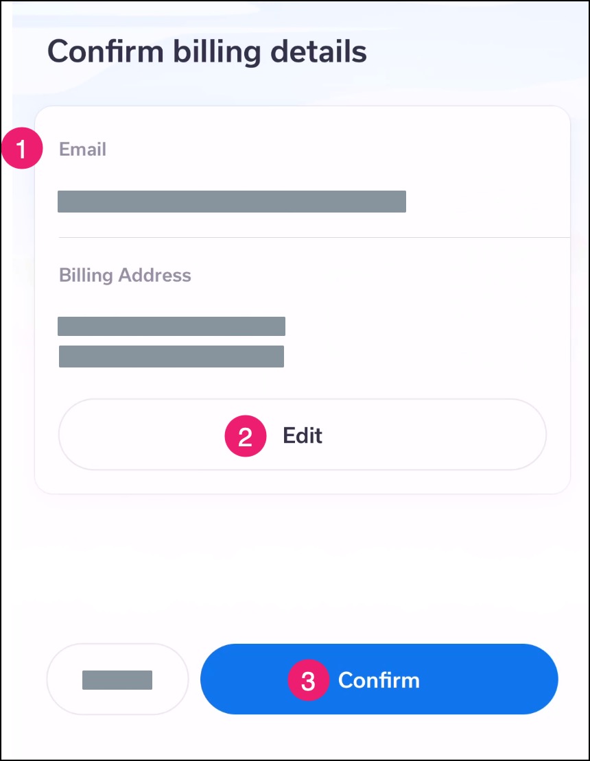 Payment billing information review window