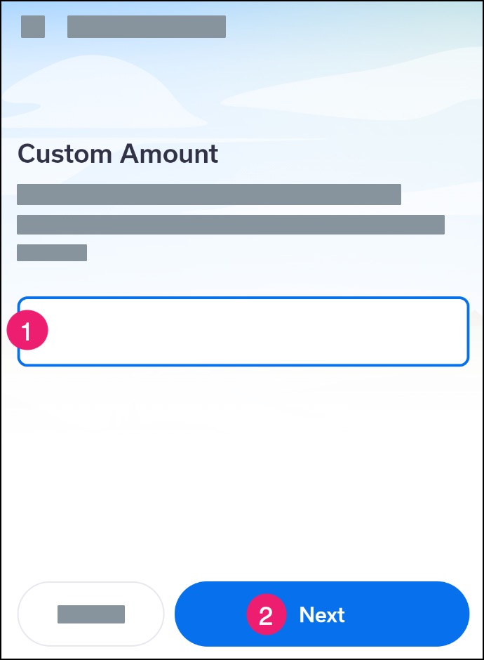 Mobile app Custom Amount page with custom amount field and Next button