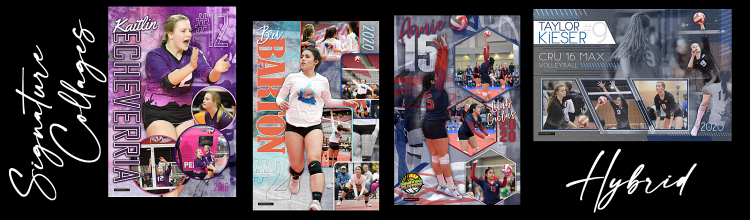hybrid_collage.jpg