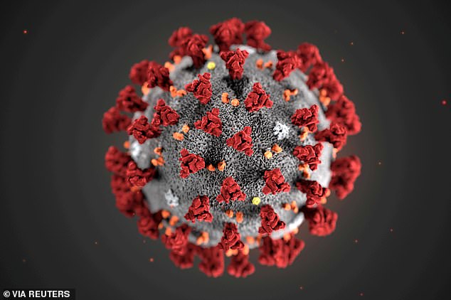 Una cepa mutada de coronavirus que se originó en España puede ser la culpable de la catastrófica segunda ola de Europa, según un estudio (archivo)