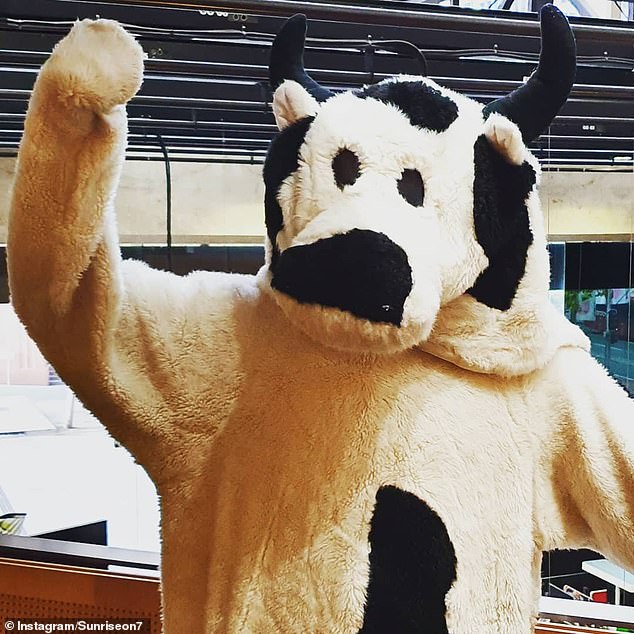 El mayor misterio de la televisión resuelto: Daily Mail Australia puede revelar exclusivamente la identidad del miembro del personal de Channel Seven que se pone el famoso disfraz de Cash Cow en Sunrise todas las mañanas