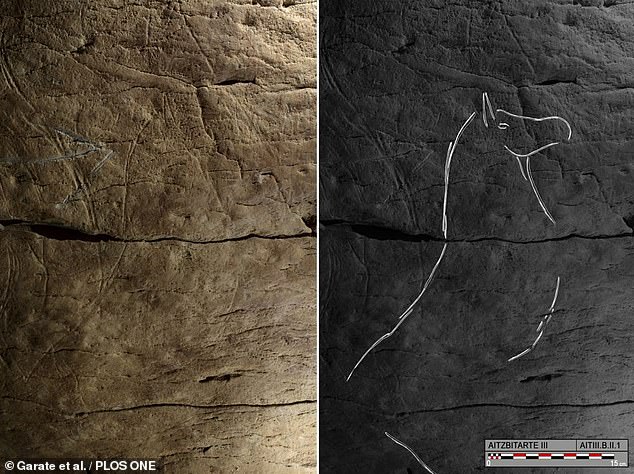 Hace más de 25.000 años existía una 'cultura artística común' en toda Europa, según ha revelado el análisis de grabados de bisontes encontrados en cuevas en España. En la imagen, uno de los dibujos de bisontes de las cuevas de Aitzbitarte, como se ve en la fotografía, izquierda, y trazado, derecha.