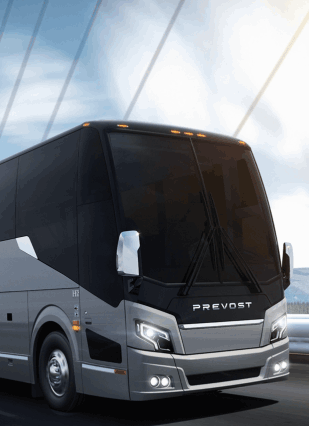 Best Vancouver Tours