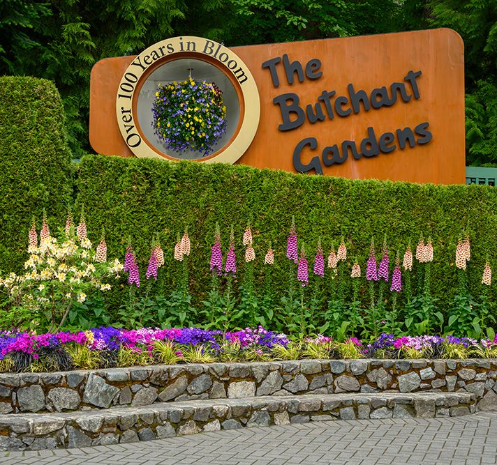 Whale Watching Tours in Luxury Victoria and Butchart Gardens tour BC