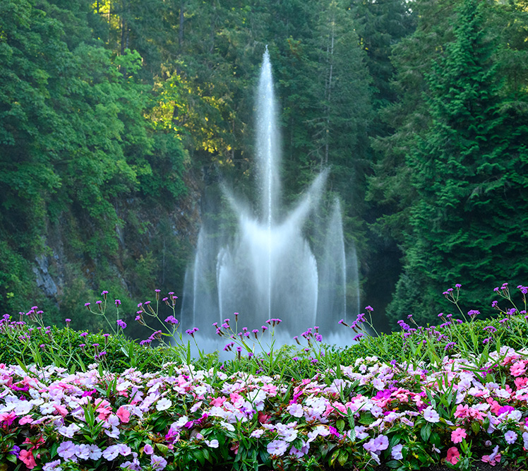 Top-Rated Luxury Victoria and Butchart Gardens tour Bus and Walking Tours