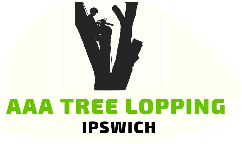 AAA Tree Lopping Springfield Lakes - Tree Removal