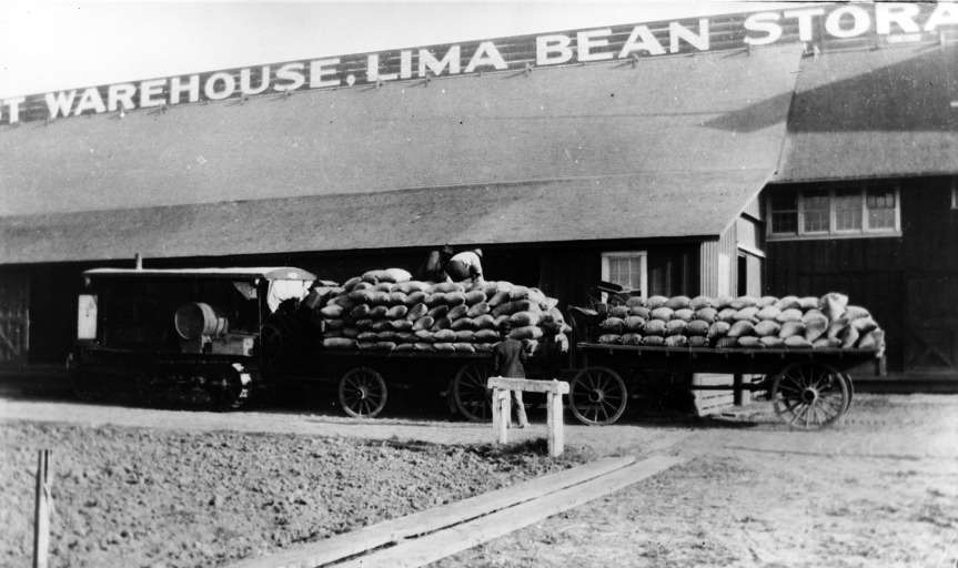 Wagonload of Lima Beans at Southwest Warehouse