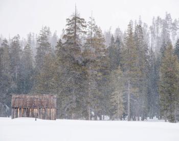 Snow in the Sierra Nevada 