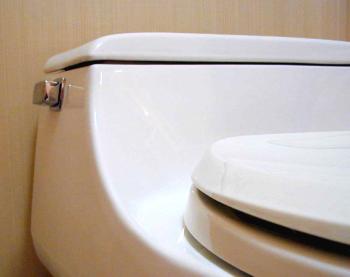 Direct Retrofit Indoor Plumbing (DRIP) Program