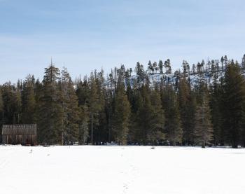 Snow blankets the meadow where the California Department of Water Resources conducted the second media snow survey of the 2026 season at Phillips Station in the Sierra Nevada. Photo 