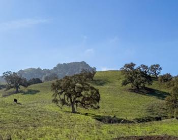 Sargent Ranch Open Space