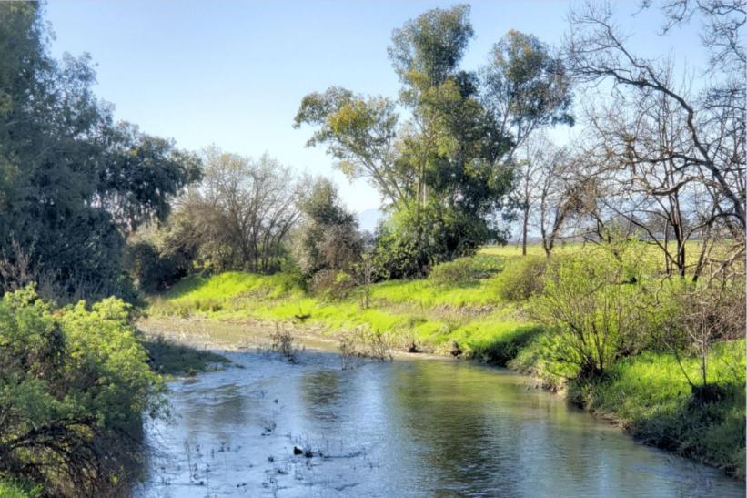 Upper Llagas Creek