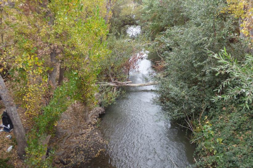 Coyote Creek