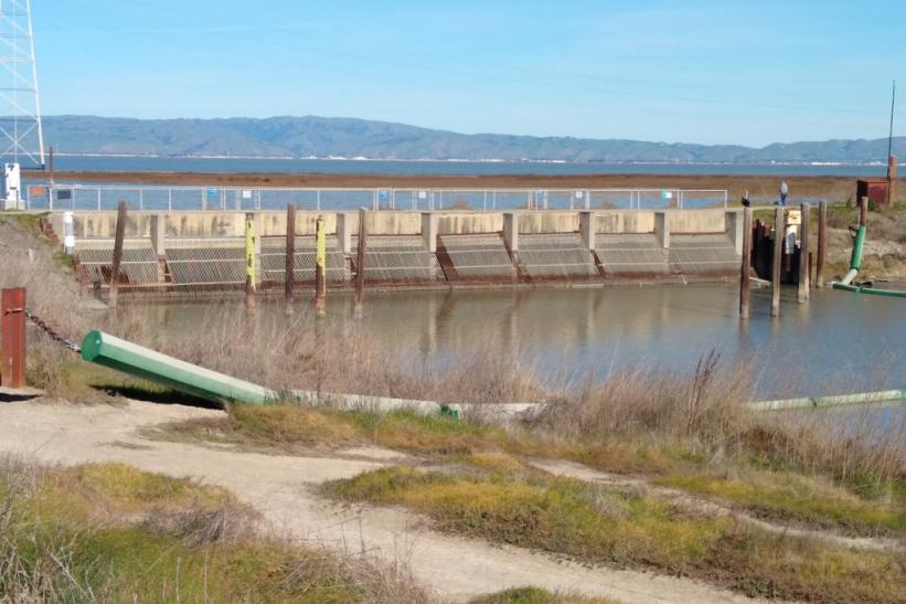 Palo Alto flood basin tide gates