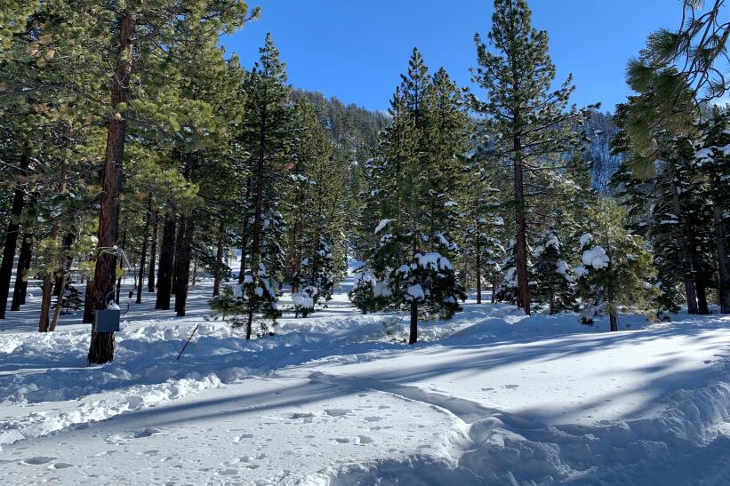 Sierra Nevada snow in December 2020