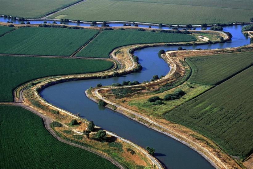 The Sacramento San-Joaquin River Delta