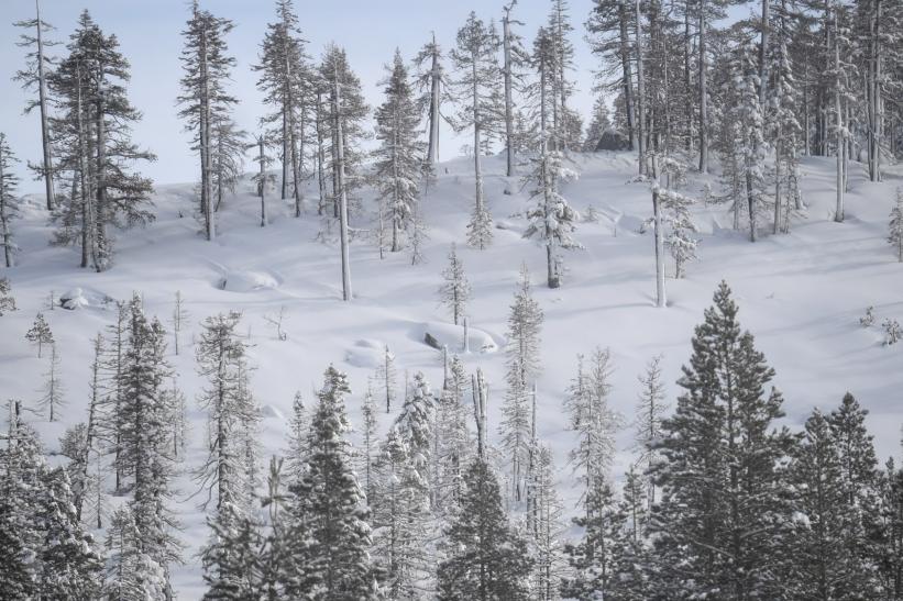 snow in mountains (photo courtesy DWR)