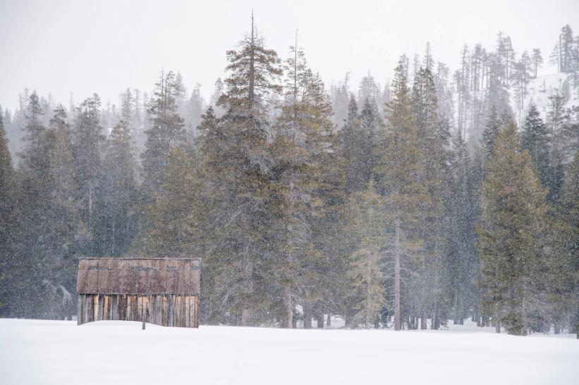 Snow in the Sierra Nevada 