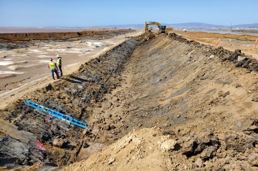 Crews remove bay mud along the surface of the new levee at Pond A12