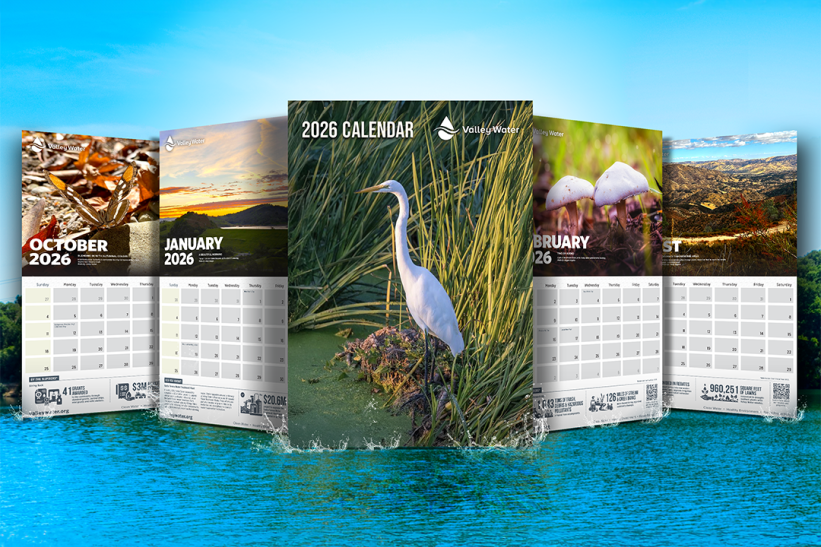 2026 calendar graphic