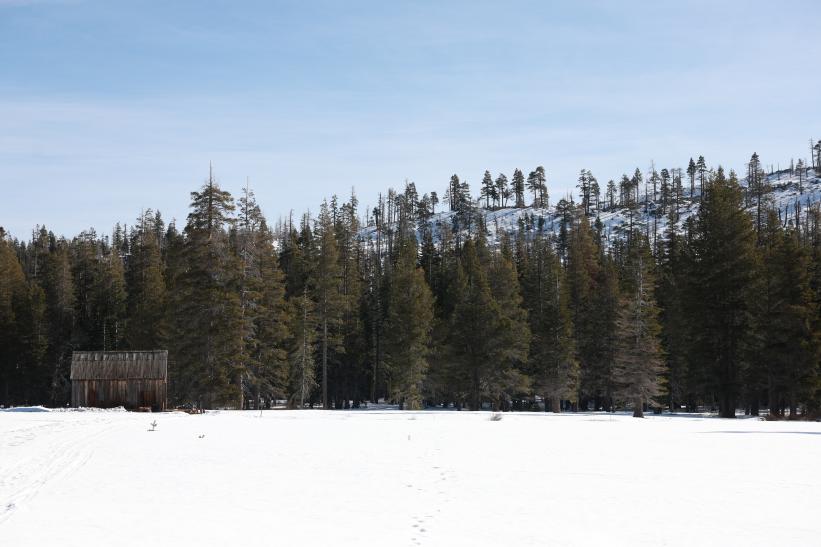 Snow blankets the meadow where the California Department of Water Resources conducted the second media snow survey of the 2026 season at Phillips Station in the Sierra Nevada. Photo 