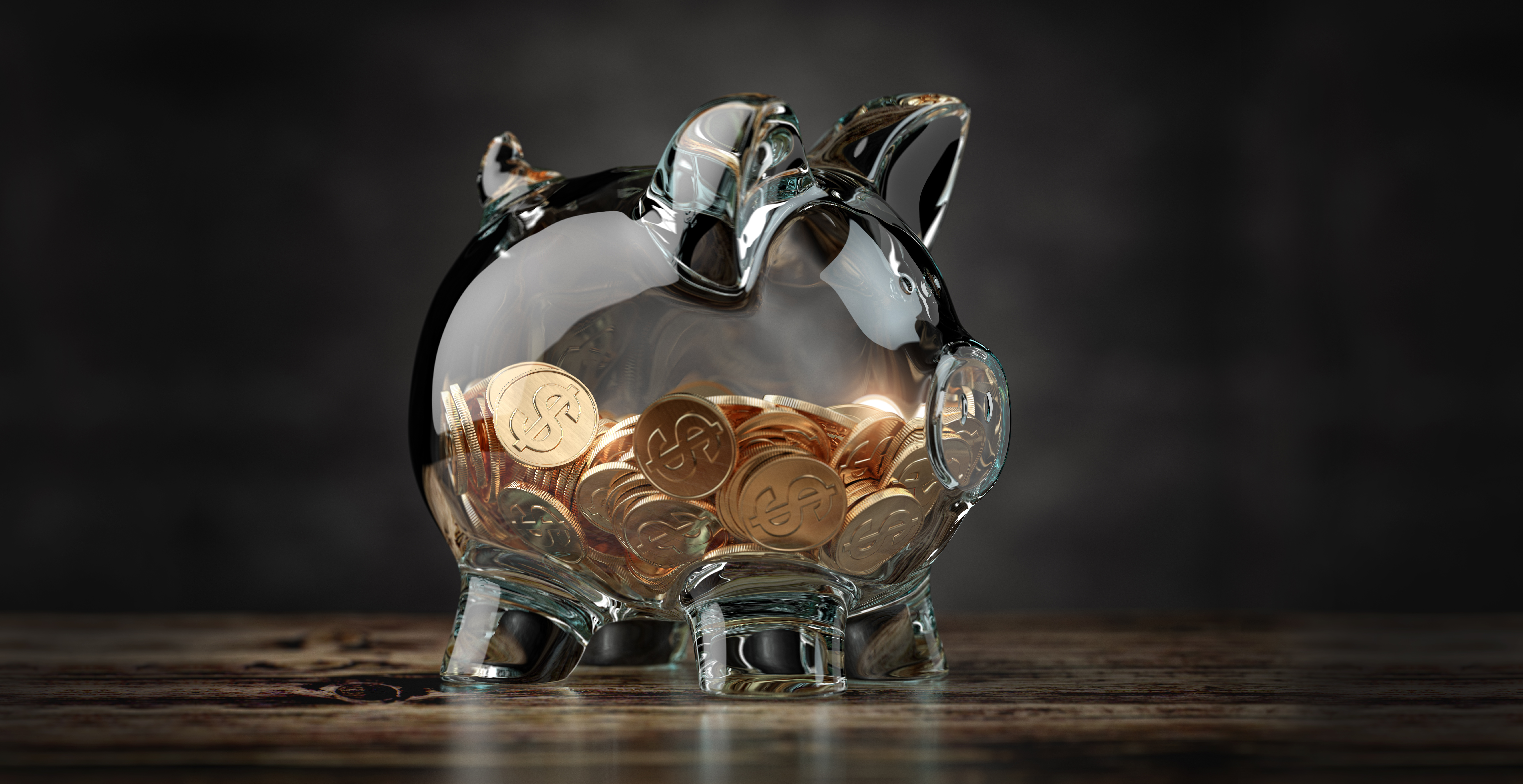 Transparent Piggy Bank