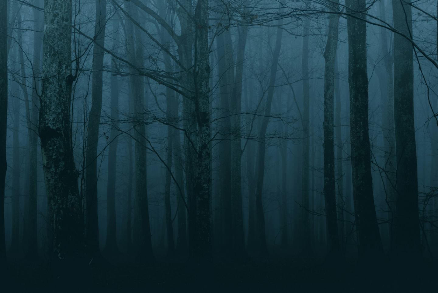 Haunted Carolina