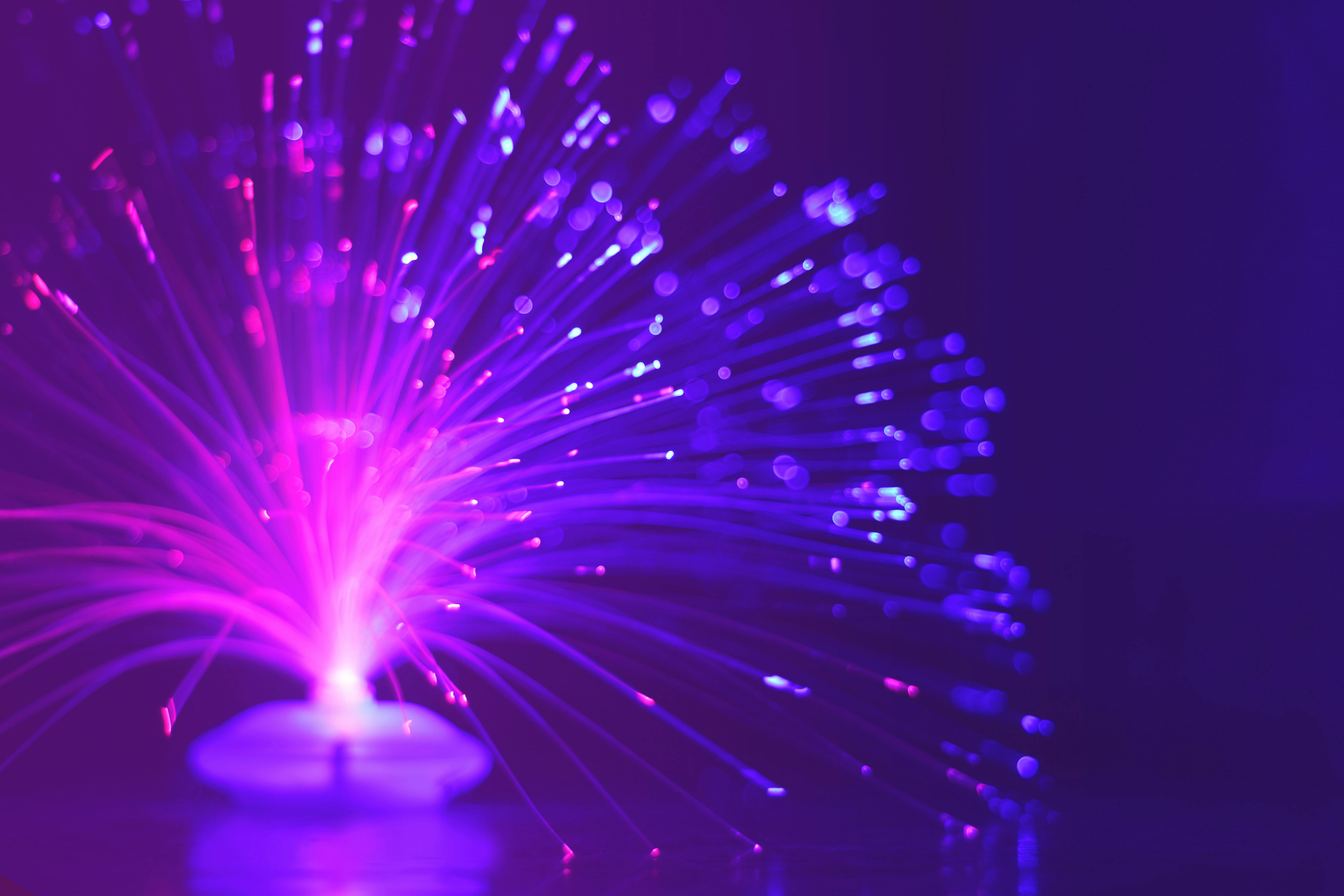 fiber optic lamp purple