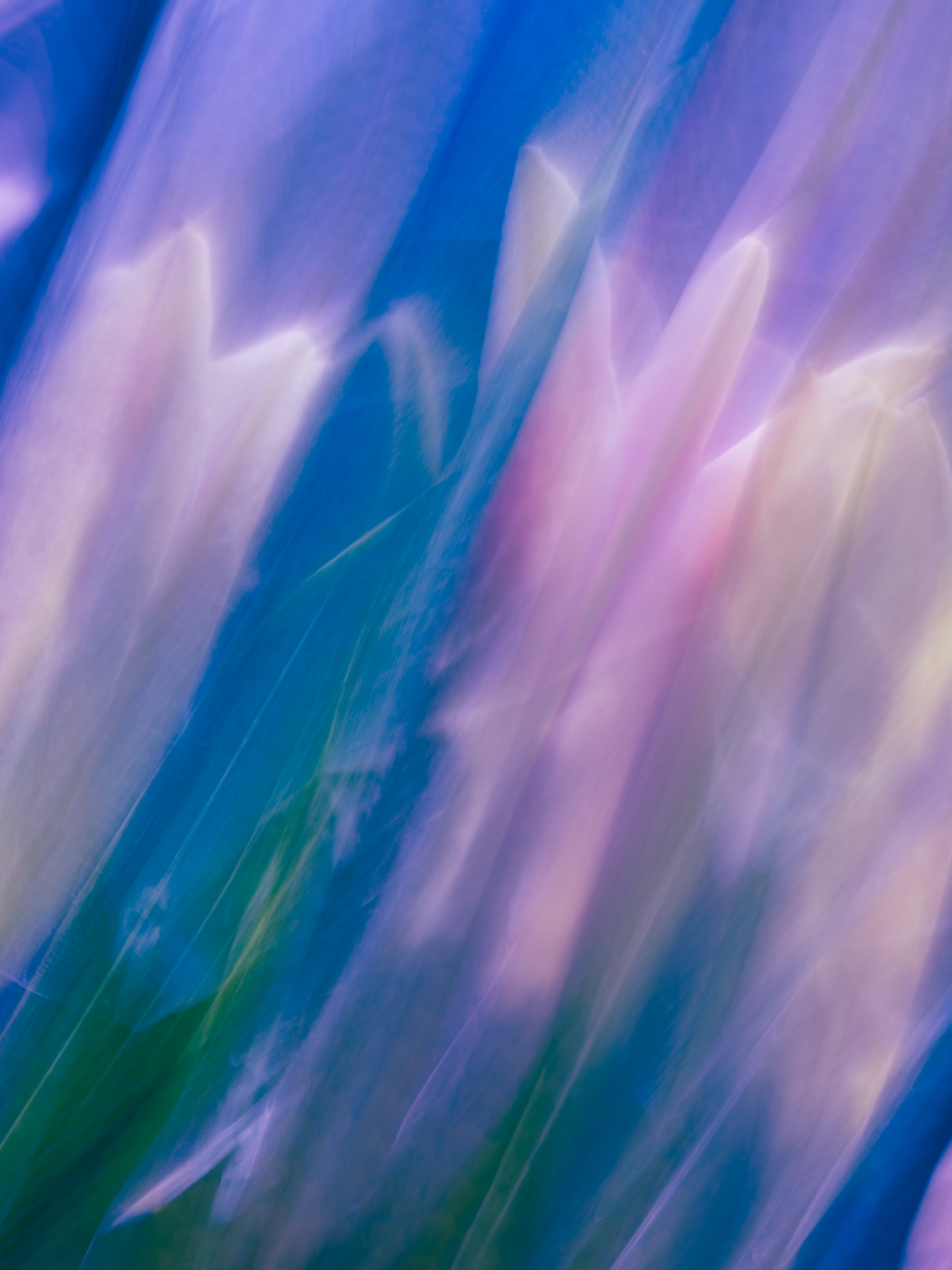 Image: Hanna Gelwix, "Lilies,” 2025, Photo © Hanna Gelwix