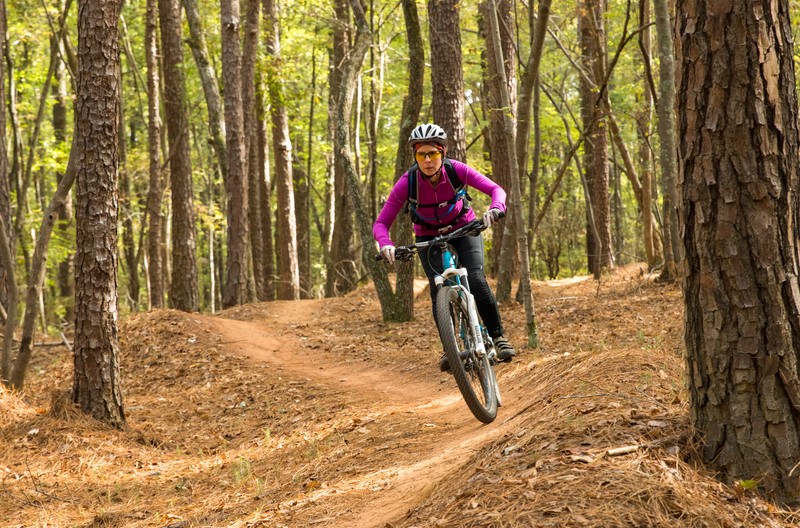 person rides a mountain bike on a wooded trail