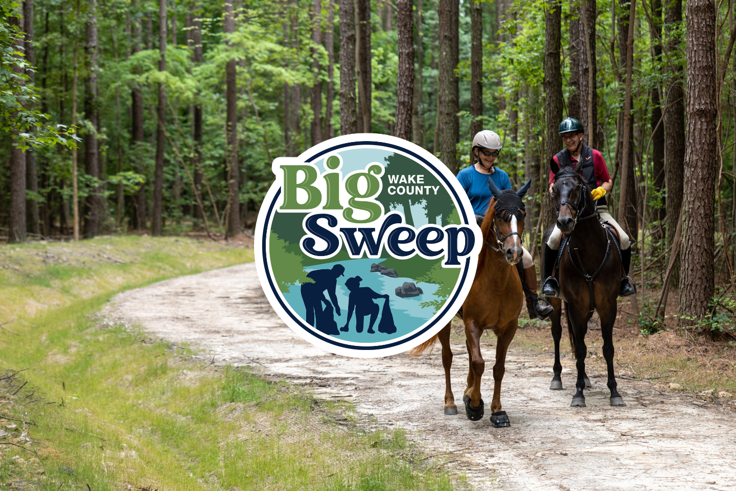 Big Sweep logo