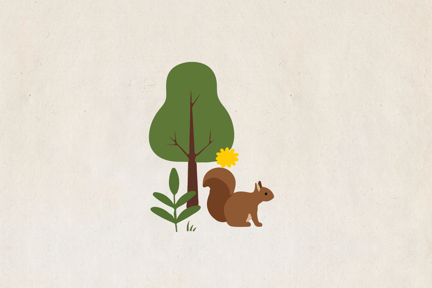 image of a squirrel and a tree
