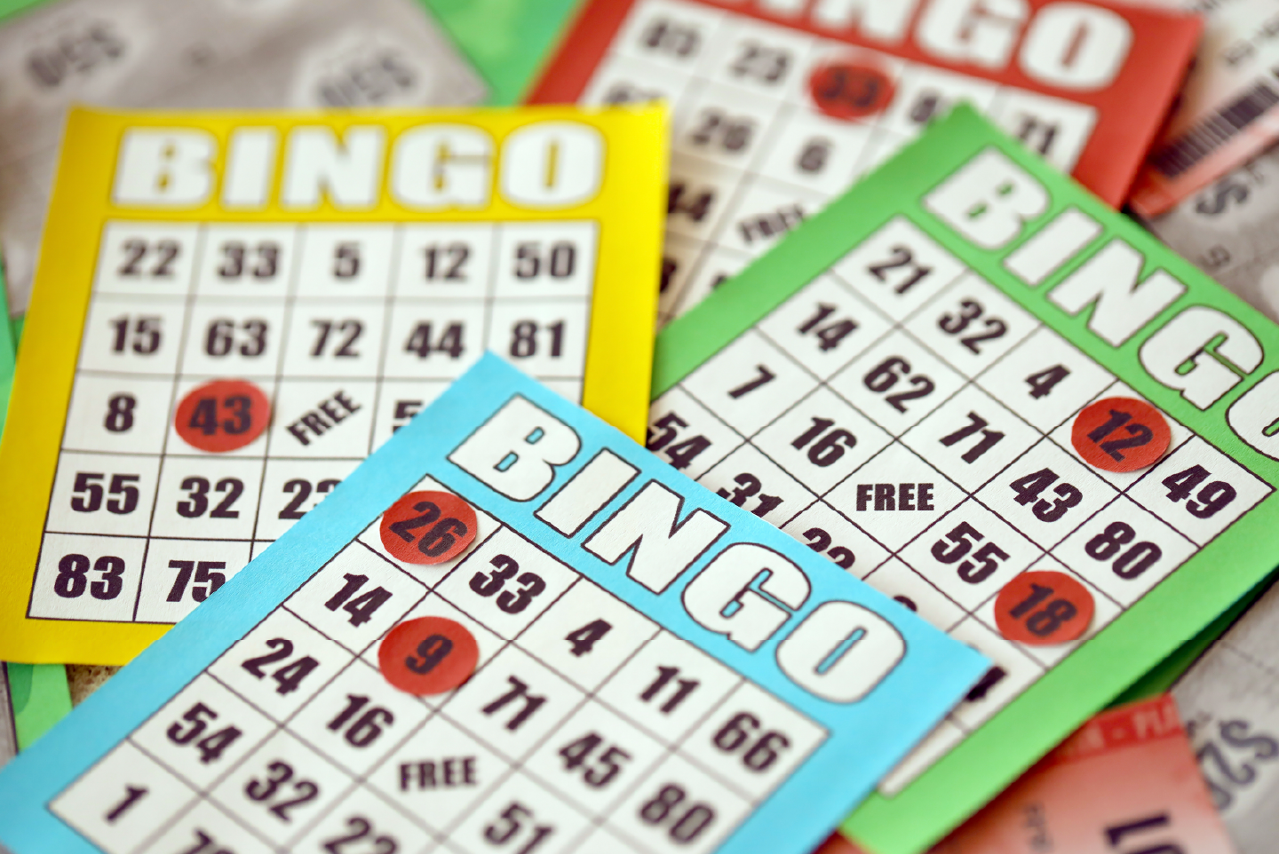 bingo