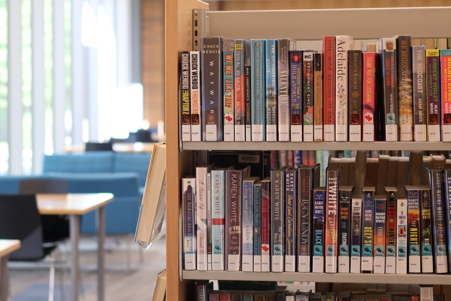 Shelf of books