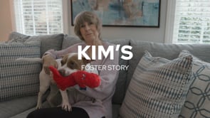 Screencap taken from Kim's Foster Story