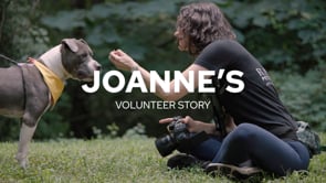 Screencap taken from Wake County Animal Center - Joanne's Volunteer Story