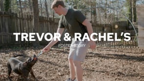 Screencap taken from Trevor & Rachel's Foster Story