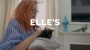 Screencap taken from Elle's Foster Story