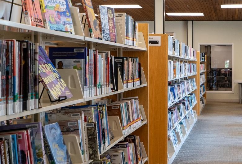 shelves of books in a library