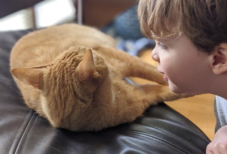 Sam, a young boy, speaks to Cheese, an orange tabby cat lying on a beanbag chair.