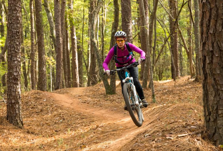 a mountain biker races down a trail