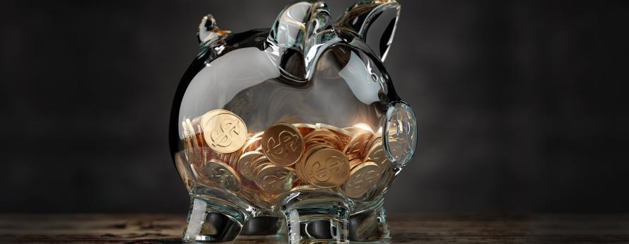 Transparent Piggy Bank